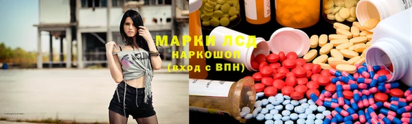стафф Аркадак