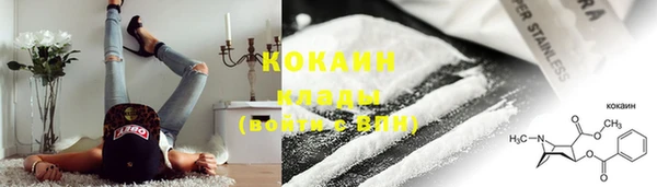 стафф Аркадак