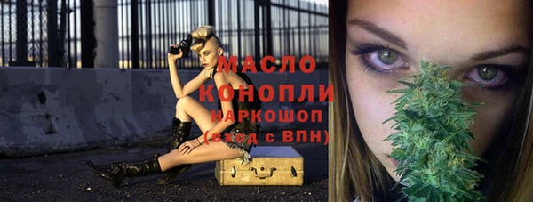 гидра Надым