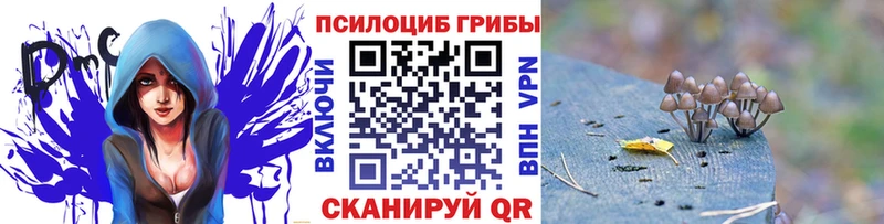 Галлюциногенные грибы Psilocybe  купить наркоту  Учалы 